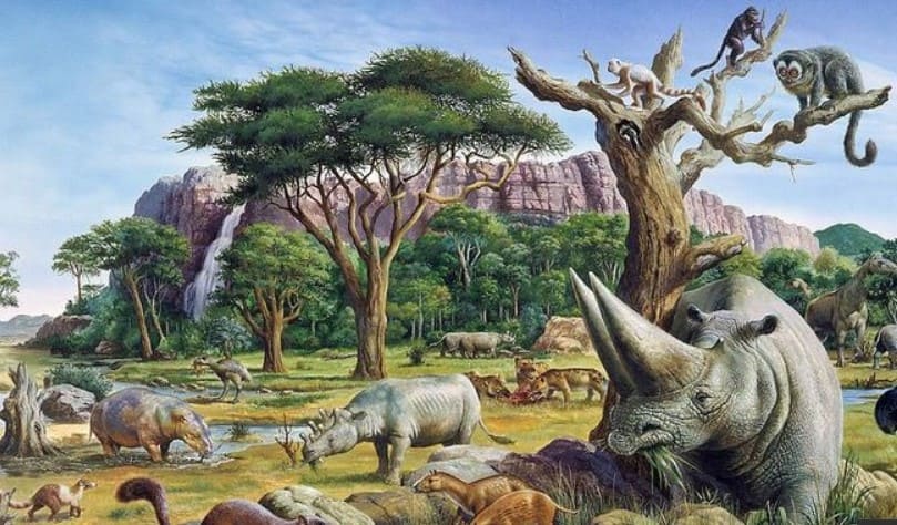 En el período Terciario fue transformación en mamíferos, estos se expandieron