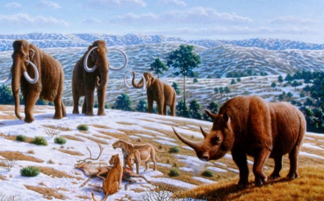 la época del pleistoceno